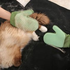 Caring for a cat with pet grooming gloves grooming pet hand mitts for hair removal green color.