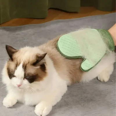 Fluffy cat with a green cooling gel patch on its back for soothing and relief, lying on a gray blanket in a cozy indoor setting.