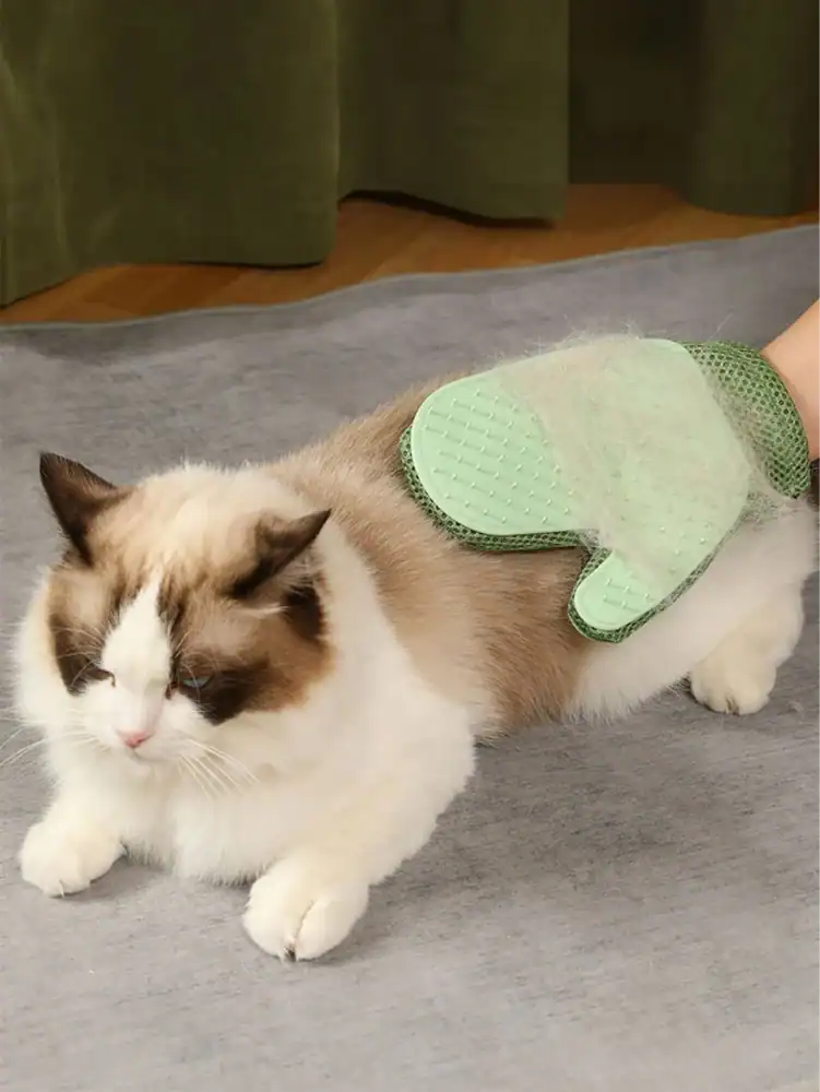 Fluffy cat with a green cooling gel patch on its back for soothing and relief, lying on a gray blanket in a cozy indoor setting.