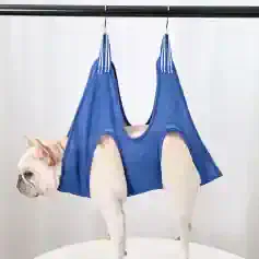 Dog wearing a blue harness, pet safety harness for dogs, adjustable pet harness, comfortable dog walking harness, Monalisa Medical pet accessories.