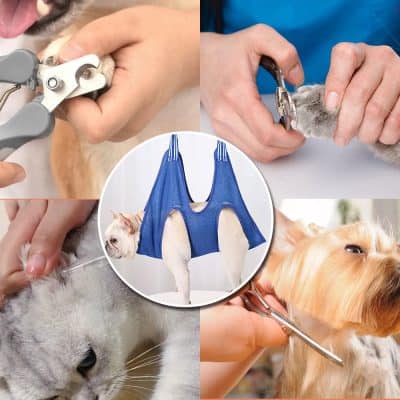 Grooming tools for pets, veterinary pet care, pet grooming scissors and nail clippers, dog grooming harness, professional pet grooming equipment.