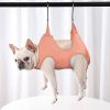 French Bulldog in a pet lift harness for comfortable mobility and support. Perfect for pet owners seeking durable, secure, and easy-to-use assistance devices for their dogs.