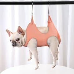 French Bulldog in a pet lift harness for comfortable mobility and support. Perfect for pet owners seeking durable, secure, and easy-to-use assistance devices for their dogs.