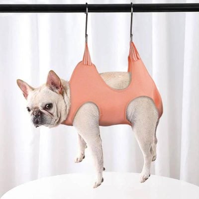 French Bulldog in a pet lift harness for comfortable mobility and support. Perfect for pet owners seeking durable, secure, and easy-to-use assistance devices for their dogs.