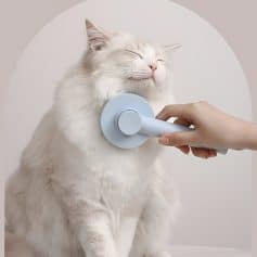 Feline ear cleaning with a professional dog and cat ear cleaner, showing a relaxed white cat enjoying ear care treatment. Perfect for pet health and grooming maintenance.