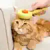 Soft orange tabby cat being groomed with a pet grooming brush, showcasing pet grooming services at Monalisa Store. Perfect for pet care, grooming, and pet health needs.