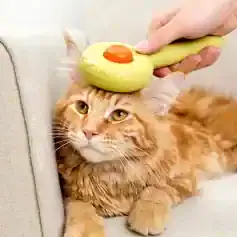 Soft orange tabby cat being groomed with a pet grooming brush, showcasing pet grooming services at Monalisa Store. Perfect for pet care, grooming, and pet health needs.