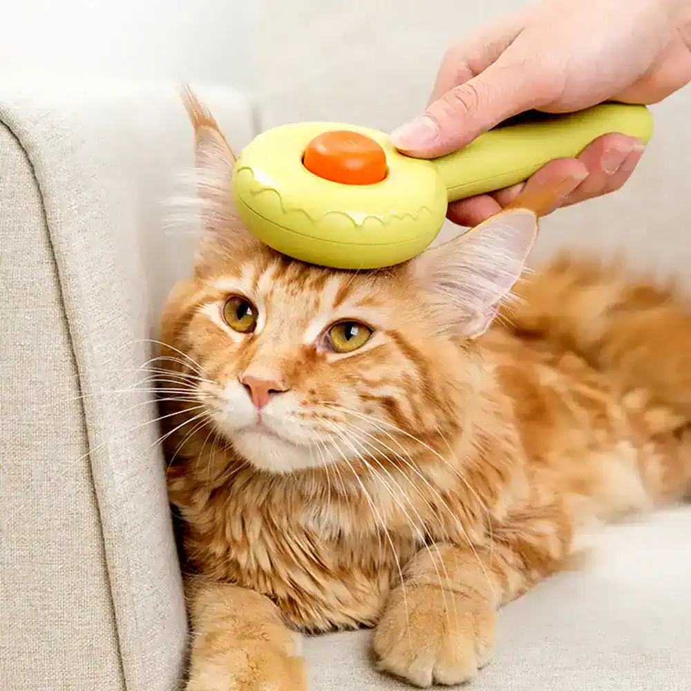 Soft orange tabby cat being groomed with a pet grooming brush, showcasing pet grooming services at Monalisa Store. Perfect for pet care, grooming, and pet health needs.
