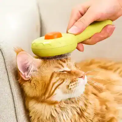 Gentle cat grooming using a soft massage brush for pet relaxation and health. Perfect for feline grooming routines at Monalisa Store, specializing in high-quality pet care products.