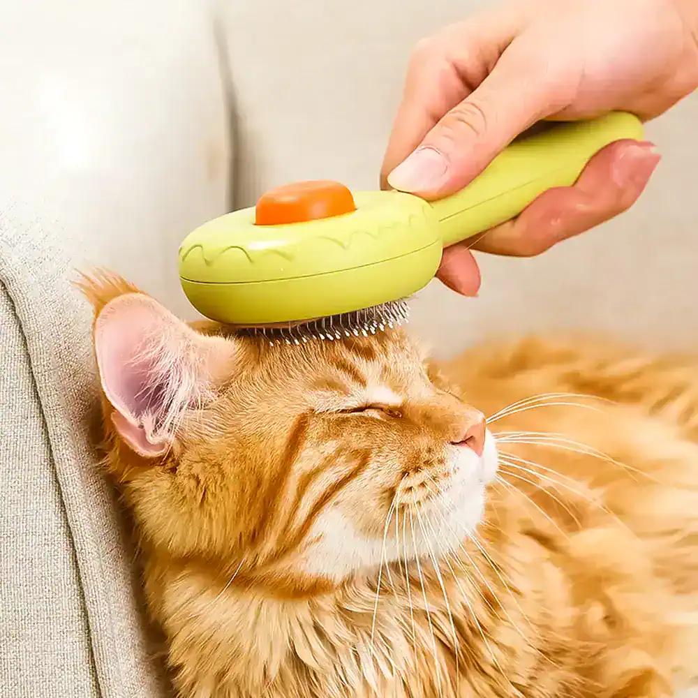 Gentle cat grooming using a soft massage brush for pet relaxation and health. Perfect for feline grooming routines at Monalisa Store, specializing in high-quality pet care products.