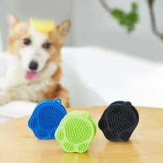 Colorful pet grooming gloves in blue, green, and black with textured silicone tips, designed for grooming dogs. Dog in background with a lemon on its head, sitting on a white sofa, in a bright and clean environment.