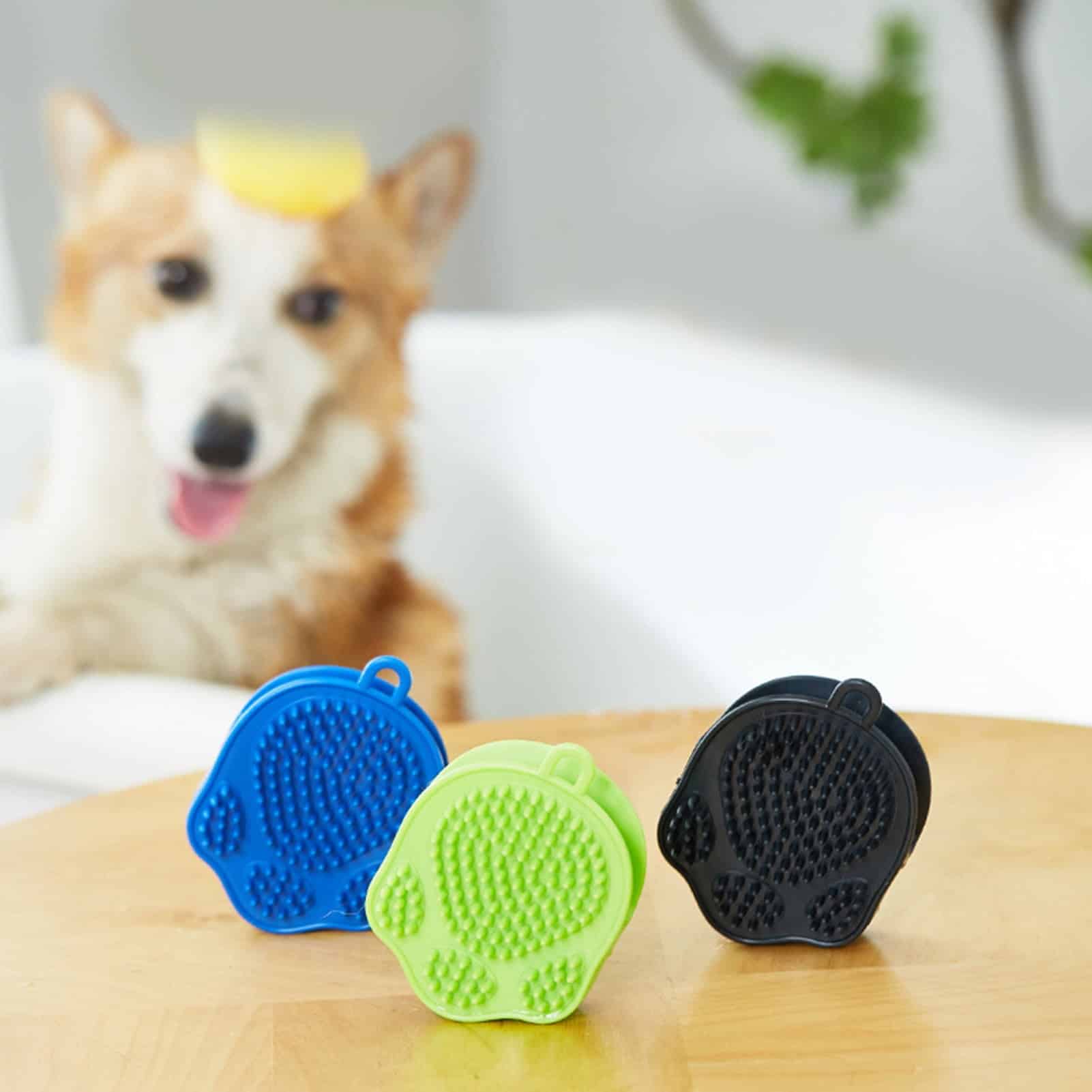 Colorful pet grooming gloves in blue, green, and black with textured silicone tips, designed for grooming dogs. Dog in background with a lemon on its head, sitting on a white sofa, in a bright and clean environment.