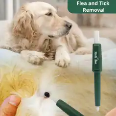 Flea and tick removal for dogs using a painless, vet-approved needle-free technique on a golden retriever.