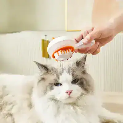Gentle pet grooming brush for cats, removing loose fur and dirt to keep your feline healthy and clean. Designed for comfortable use on long and short-haired cats.