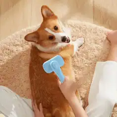 Gentle dog grooming with a pet brush, cozy indoor setting, caring pet care routine, Monalisa Medical store, professional pet grooming services, friendly dog grooming, pet health and hygiene.
