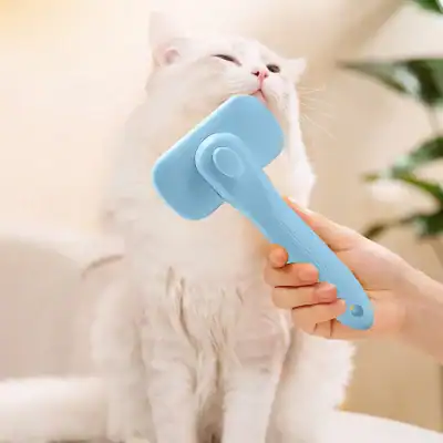 Gentle cat grooming brush near feline’s face, pet grooming and care tools, professional pet grooming supplies, hygiene, health and wellness for cats, easy-to-use pet grooming equipment.