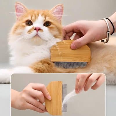 Grooming a fluffy orange and white cat with a wooden deshedding brush to reduce hair shedding and hairballs. Companion pet grooming at Monalisa Medical Store, promoting healthy and clean pets.