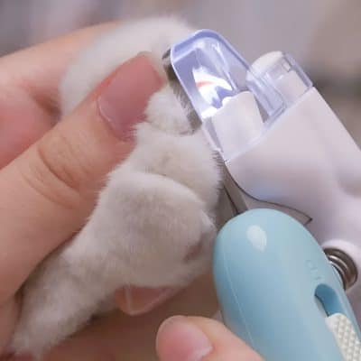 Painless pet teeth cleaning with ultrasonic dental scaler, veterinary oral hygiene, dental care for cats and dogs, pet dental health, Monalisa Store.
