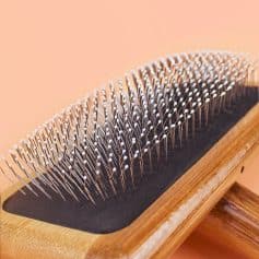 Top view of a wooden board with rows of sterilized acupuncture pins for cosmetic and traditional Chinese medicine treatments at Monalisa Medical Store, specializing in optical and health solutions.