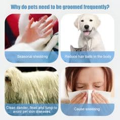 Groomed pets, pet grooming, pet hygiene, pet care, pet health.