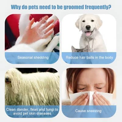 Groomed pets, pet grooming, pet hygiene, pet care, pet health.