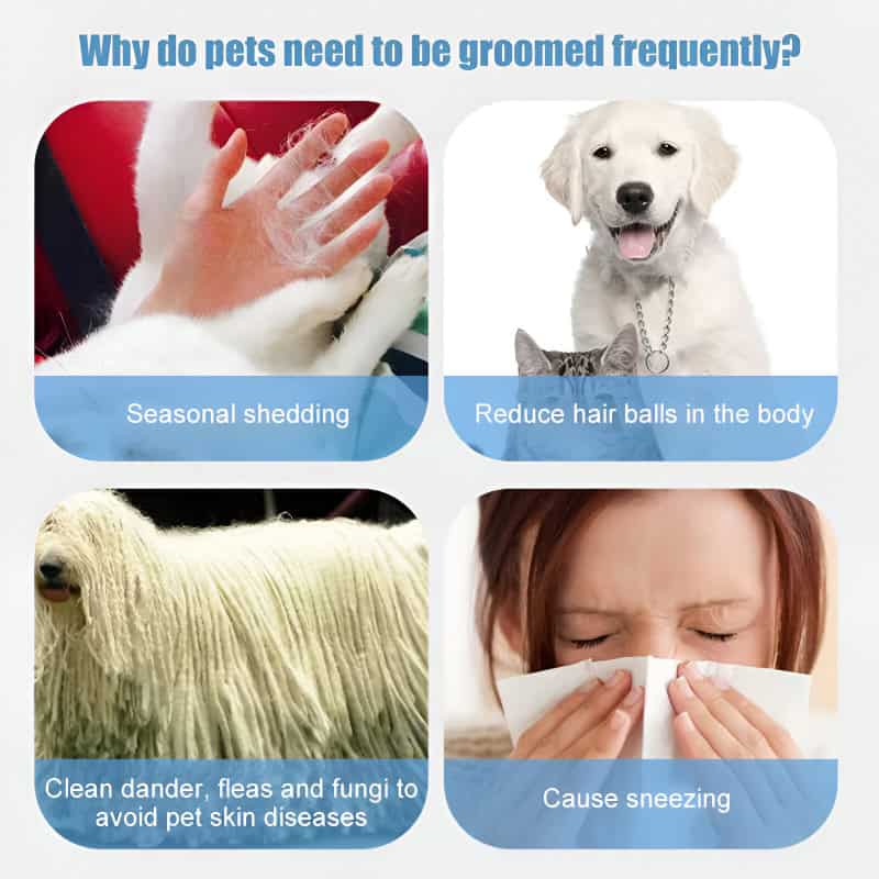 Groomed pets, pet grooming, pet hygiene, pet care, pet health.