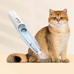 Automatic pet grooming device for cats with soothing spray feature, easy to use, and suitable for home pet care. Perfect for maintaining a clean, well-groomed feline hygiene routine.