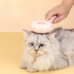 Gentle pet grooming with a soft brush on a fluffy gray cat at Monalisa Store, promoting pet care and wellness.