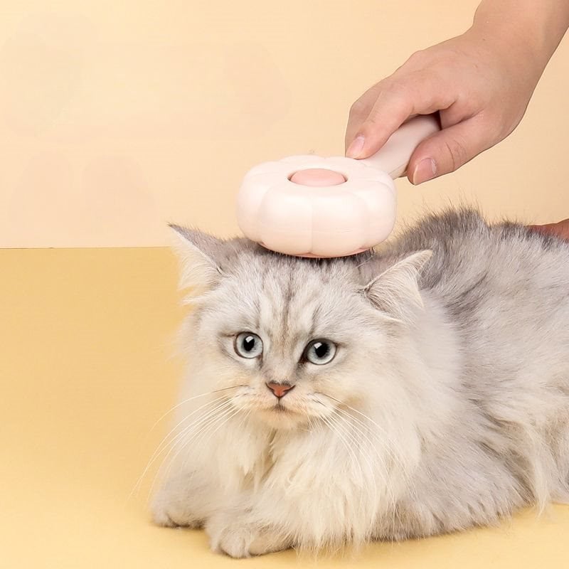 Gentle pet grooming with a soft brush on a fluffy gray cat at Monalisa Store, promoting pet care and wellness.