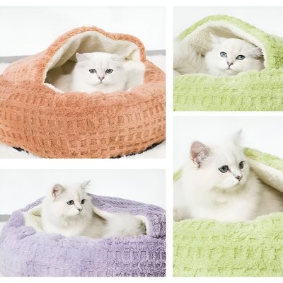 Fluffy white kitten inside colorful plush pet beds, cozy and comfortable, available at Monalisa Store for pet lovers.