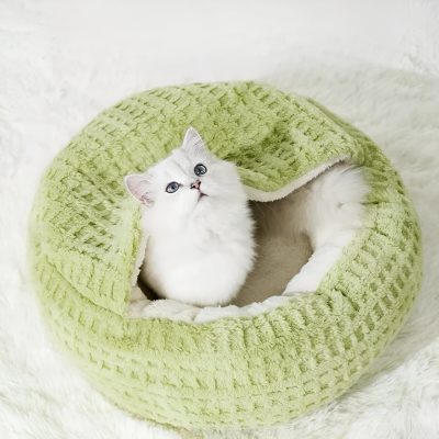 Fluffy white kitten in a cozy green plush bed, perfect for cat comfort and style.