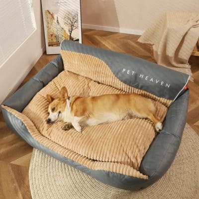 Soft pet bed with cozy cushioning and