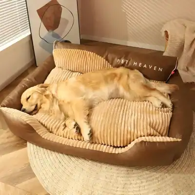 Golden retriever sleeping on pet bed with