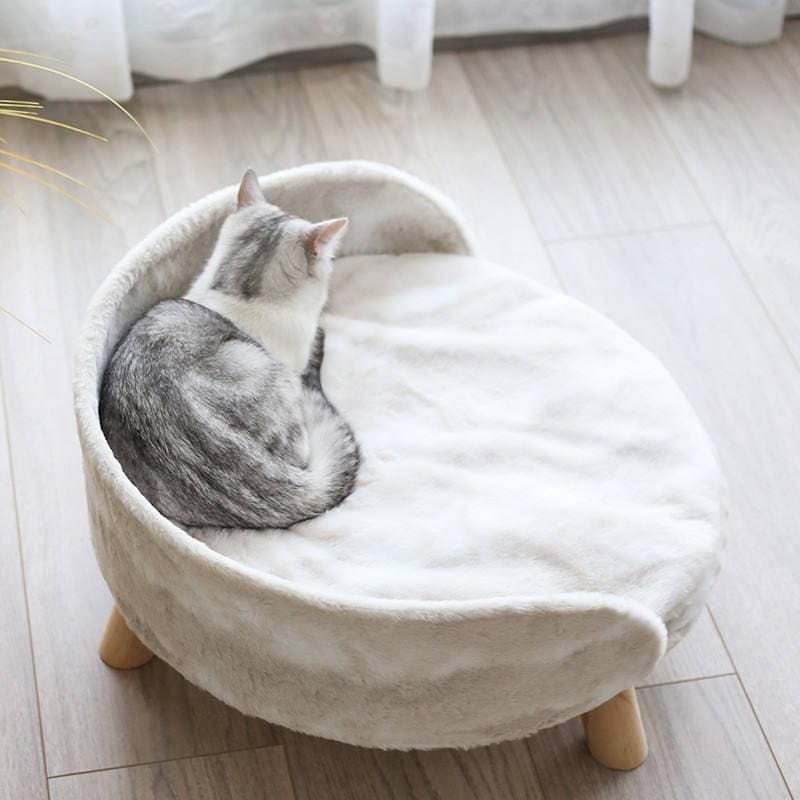 Cozy kitten resting on a soft, plush pet bed in a bright living space. Perfect for pet comfort and relaxation. Ideal for pet owners seeking stylish and comfortable pet furniture.
