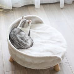 Cozy gray and white cat curled up on a plush, cream-colored pet bed with wooden legs, in a bright, modern living space. Perfect for pet comfort and relaxation.