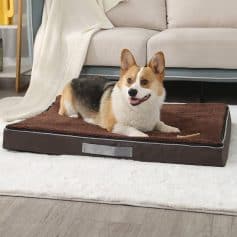 Dog lying on a pet bed in a cozy living room setting, soft furniture and blanket, pet comfort and furniture for dogs.