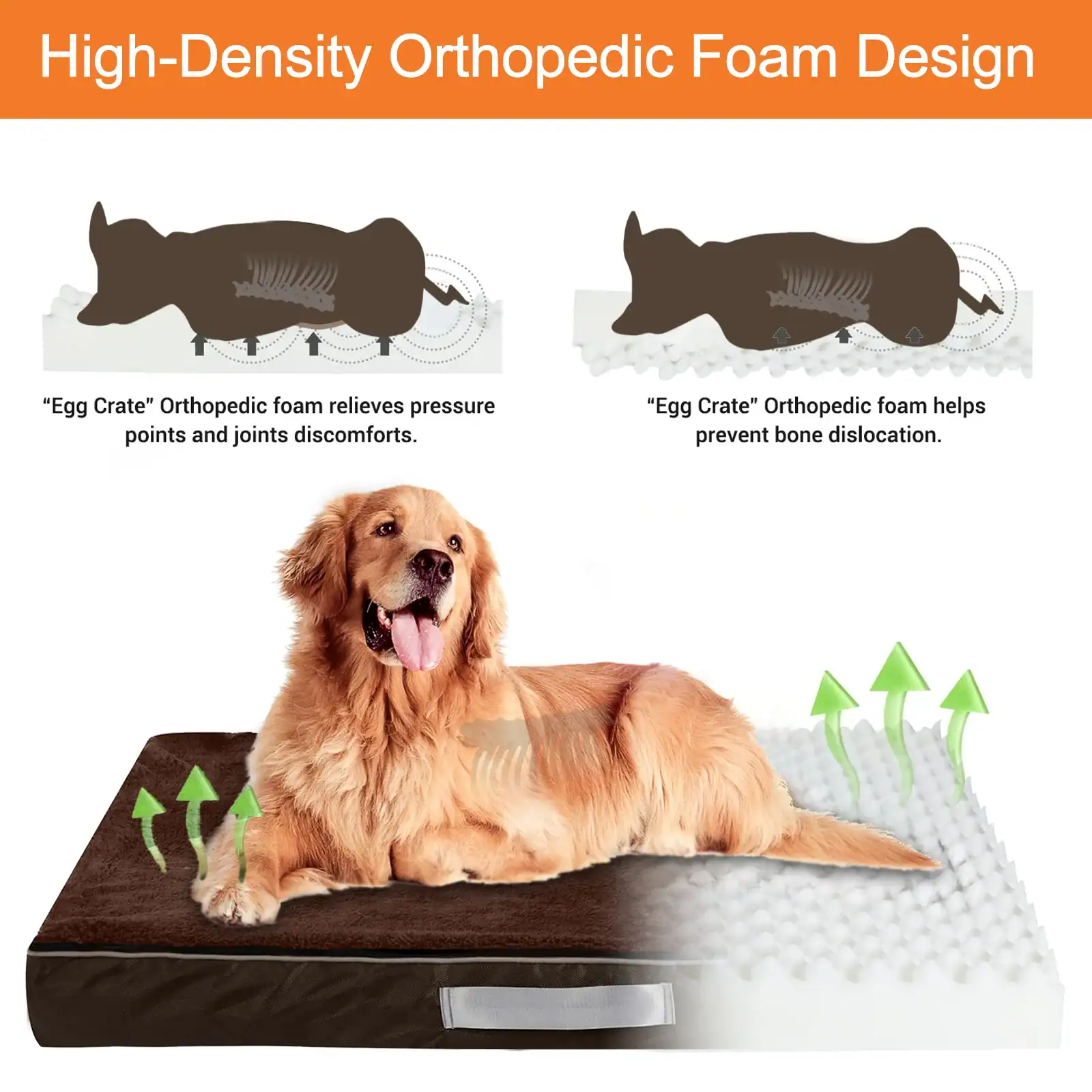 Orthopedic foam dog bed with high-density foam for pressure relief and joint support, featuring egg crate design to prevent bone dislocation and enhance comfort for pets.
