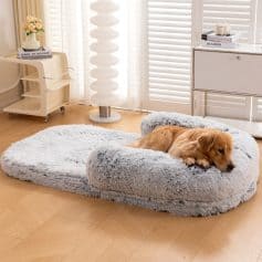 Soft plush dog bed with memory foam, ideal for comfort and relaxation in modern home decor. Perfect for small to medium-sized pets seeking cozy resting spots.
