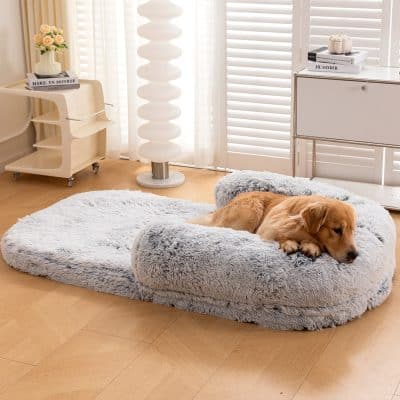 Soft plush dog bed with memory foam, ideal for comfort and relaxation in modern home decor. Perfect for small to medium-sized pets seeking cozy resting spots.