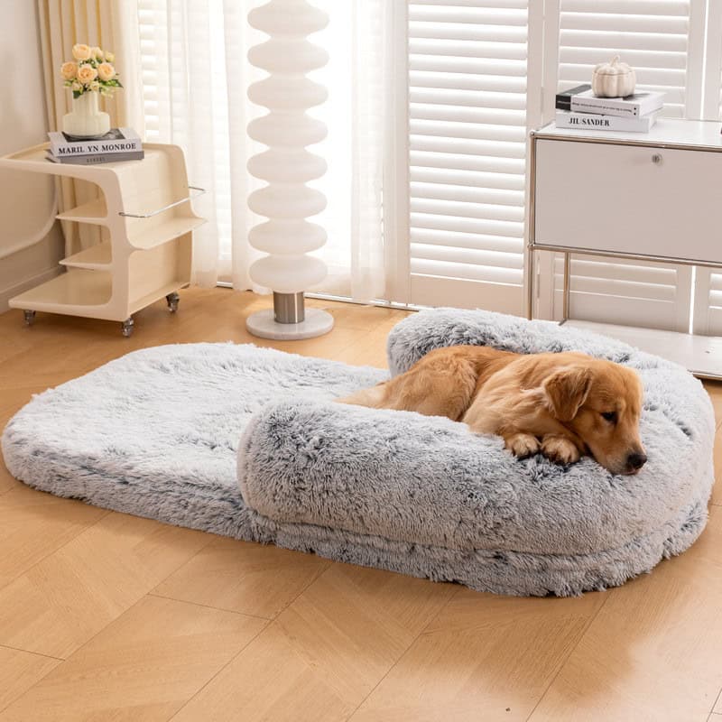 Soft plush dog bed with memory foam, ideal for comfort and relaxation in modern home decor. Perfect for small to medium-sized pets seeking cozy resting spots.
