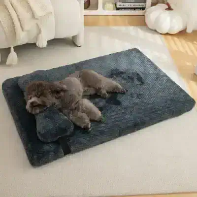 Fluffy gray dog relaxing on a dark gray memory foam pet bed in a cozy living room with modern decor and soft lighting.