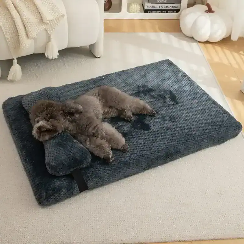 Fluffy gray dog relaxing on a dark gray memory foam pet bed in a cozy living room with modern decor and soft lighting.