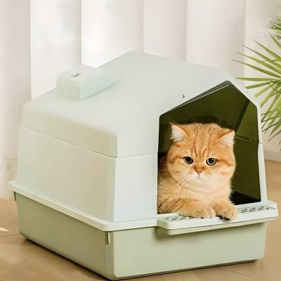 Cat litter box with a cat inside, modern and clean litter box for pets, perfect for cat owners seeking hygienic and stylish pet accessories, ideal for home use and paw-friendly environments.