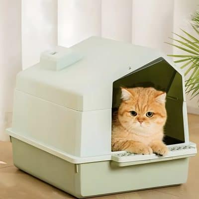 Cat inside a sophisticated enclosed litter box for clean and odor-free pet grooming and care.