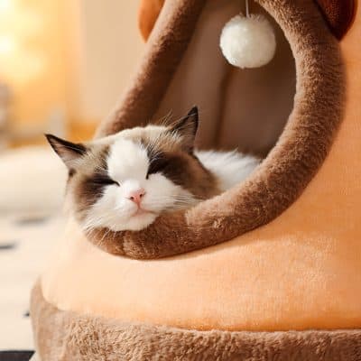 Soft, cozy cat bed with a sleeping feline, perfect for pet comfort and relaxation, showcasing quality pet accessories available at Monalisa Store for cat lovers.