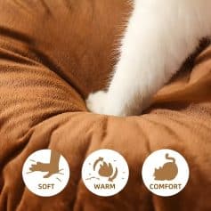 Luxurious white cat paw resting on soft brown fabric, emphasizing comfort and warmth.