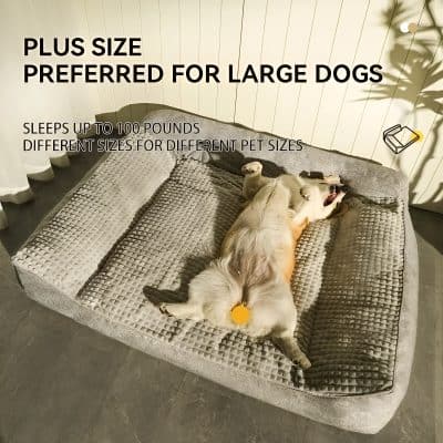 Luxurious large dog bed with orthopedic memory foam, perfect for plus-size and big dogs, providing ultimate comfort and support for pets up to 100 pounds.