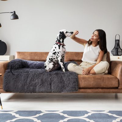 Natural light Dalmatian dog and smiling woman playing on sofa, modern living room decor, cozy home atmosphere, pet-friendly space, casual lifestyle, comfortable furniture, lifestyle photography, home decor ideas, pet care.