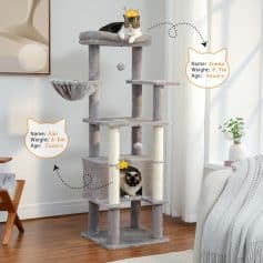 Cat tree with multiple levels, scratching posts, and cozy lounging areas, ideal for cats to play, climb, and rest, featured with kittens and decorated with playful illustrations for pet-friendly spaces.