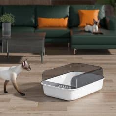 Sleek modern cat litter box with a transparent cover, designed for easy cleaning and odor control, perfect for pet owners seeking stylish and functional litter solutions.